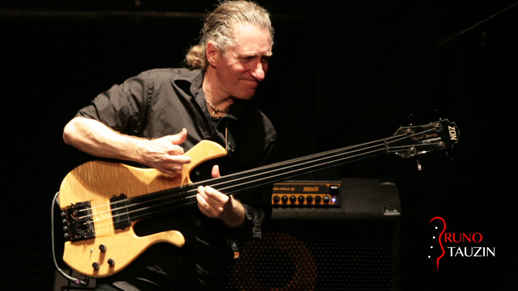 Michael manring, basse, fretless, bassiste, solo, improvisation, jaco pastorius, zon, teen town