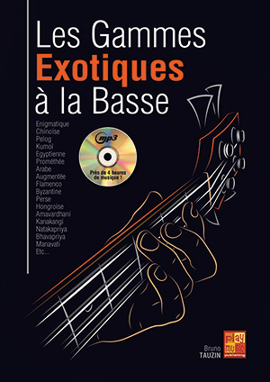 Comment choisir entre une basse active ou passive ? - Boullard Musique