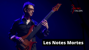 cours basse, technique, notes mortes, débutant, groove, Alain Caron, bassiste, tablature