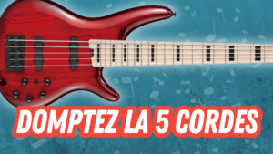 cours basse 5 cordes, tuto, débutant, groove, tablature