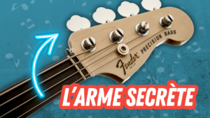 cours, basse, bassiste, fender, precision, fretless, Hipshot, accordeur