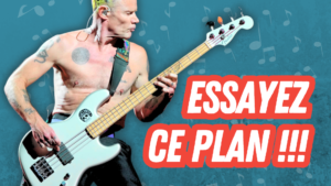 cours de basse, funk, Red Hot Chili Peppers, flea, poster child