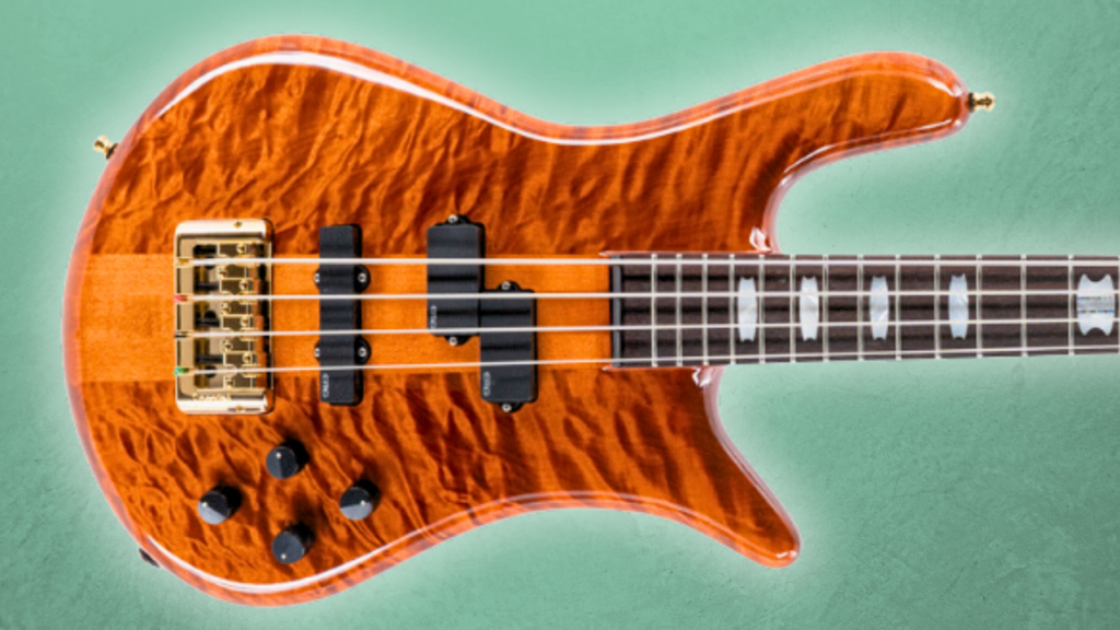 basse Spector euro signature doug Wimbish