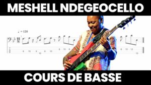 cours de basse, meshell ndegeocello, groove, tablature