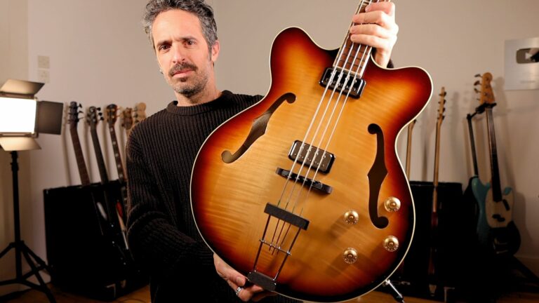 Hofner verythin bass, basse vintage