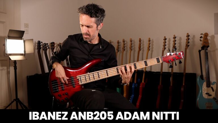 basse 5 cordes ibanez Adam Nitti ANB205